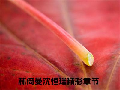 《林倚曼沈恒瑞》全文免费阅读最新章节大结局-林倚曼沈恒瑞 全文全章节免费阅读