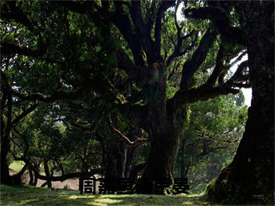 周嘉鱼傅京晏的小说(周嘉鱼傅京晏)最新章节全文免费阅读_笔趣阁