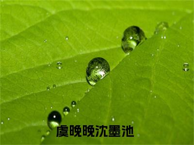 虞晚晚沈墨池小说（虞晚晚沈墨池）完整版大结局-虞晚晚沈墨池小说免费阅读