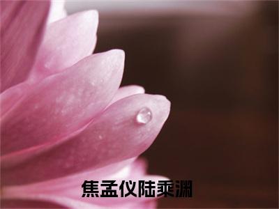 焦孟仪陆乘渊热门小说在哪免费看-小说（焦孟仪陆乘渊）完整版全文在线赏析