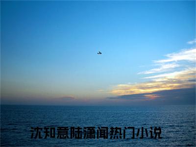 沈知意陆潇闻（沈知意陆潇闻）全文免费大结局，沈知意陆潇闻结局在线阅读