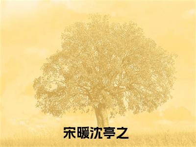 【新书】《宋暖沈亭之》宋暖沈亭之全文全章节免费阅读