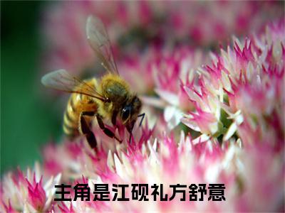 江砚礼方舒意(江砚礼方舒意)全文免费阅读无弹窗大结局_(江砚礼方舒意)免费阅读全文无弹窗_笔趣阁