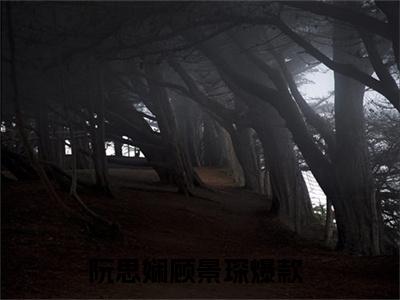 小说《阮思娴顾景琛》全文免费阅读无弹窗-阮思娴顾景琛小说全文在线赏析_笔趣阁