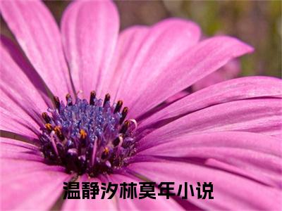 温静汐林莫年(温静汐林莫年)全文免费阅读无弹窗大结局_(温静汐林莫年免费阅读全文大结局)最新章节列表_笔趣阁（温静汐林莫年）