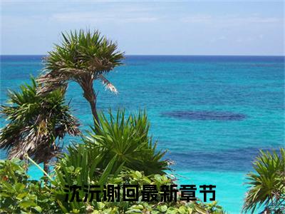 沈沅谢回(沈沅谢回)小说免费阅读-沈沅谢回（沈沅谢回）全文阅读-笔趣阁（沈沅谢回）