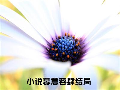 慕意容肆免费慕意容肆读无弹窗最新章节列表_笔趣阁（慕意容肆）