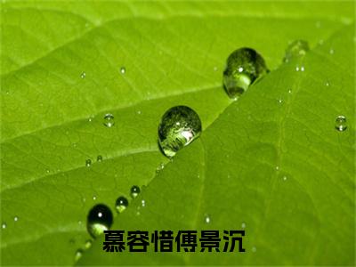 慕容惜傅景沉全文免费无弹窗大结局_ 慕容惜傅景沉免费慕容惜傅景沉最新章节列表_笔趣阁