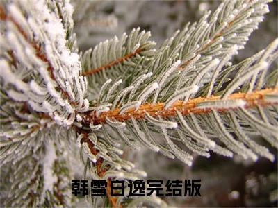 韩雪白逸热门小说最新章节阅读-老书虫书荒推荐热点小说（韩雪白逸）