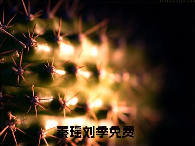 秦瑶刘季精彩章节在线阅读-秦瑶刘季美文欣赏