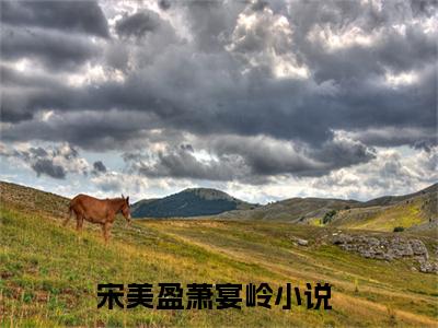 宋美盈萧宴岭小说（宋美盈萧宴岭）全文免费阅读无弹窗大结局_（宋美盈萧宴岭）宋美盈萧宴岭最新章节列表笔趣阁（宋美盈萧宴岭）