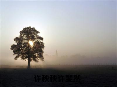 许秧秧许斐然好看的小说开局成团宠，娘亲竟是穿越女主在线阅读-开局成团宠，娘亲竟是穿越女主是什么小说《许秧秧许斐然》