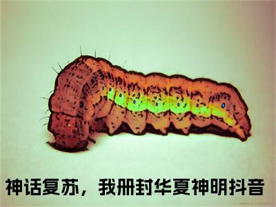 苏离（神话复苏，我册封华夏神明）全文免费阅读无弹窗大结局_苏离最新章节列表