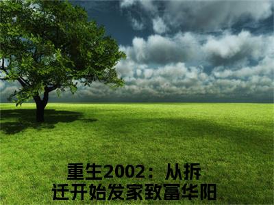 重生2002：从拆迁开始发家致富华阳（重生2002：从拆迁开始发家致富华阳）是什么小说-（重生2002：从拆迁开始发家致富华阳）无弹窗免费阅读大结局最新章节列表_笔趣阁