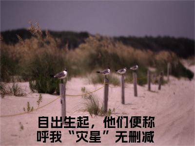 江聿风宋佳柠全文免费在线阅读_（自出生起，他们便称呼我“灾星”免费阅读无弹窗）江聿风宋佳柠全文免费完结版阅读