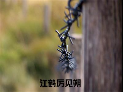 江鹤厉见朔免费阅读无弹窗大结局-江鹤厉见朔（江鹤厉见朔最新全章节大结局）全文阅读