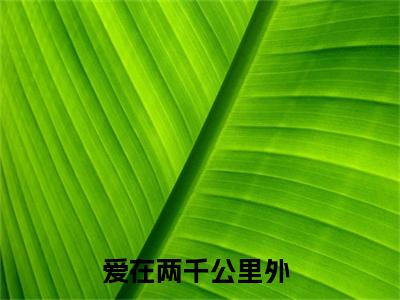 （结局）+（免费）爱在两千公里外是哪部小说的主角，赵小柔周荣全文在线赏析