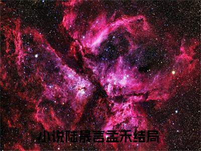 陆晟言孟禾全文免费阅读_（陆晟言孟禾小说）陆晟言孟禾言情小说在线阅读笔趣阁（陆晟言孟禾）