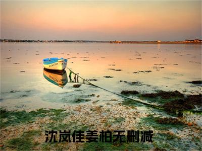 沈岚佳姜柏免费小说-（沈岚佳姜柏）沈岚佳姜柏完结版在线阅读