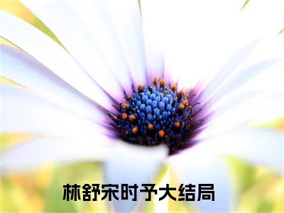 （林舒宋时予）林舒宋时予小说全文免费_（林舒宋时予）最新章节列表笔趣阁