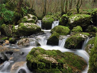 魏心凝秦骁（魏心凝秦骁）完整版小说阅读_魏心凝秦骁全文免费阅读笔趣阁（魏心凝秦骁）