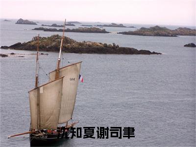 沈知夏谢司聿（沈知夏谢司聿）小说全文免费阅读无弹窗大结局_（沈知夏谢司聿）沈知夏谢司聿小说全文免费阅读最新章节列表笔趣阁（沈知夏谢司聿）