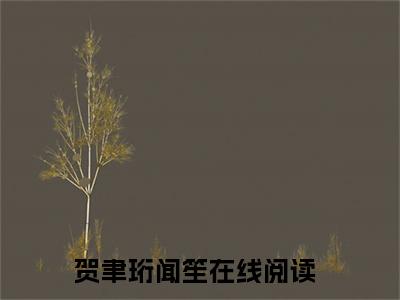 贺聿珩闻笙（贺聿珩闻笙）最新章节阅读-贺聿珩闻笙无广告在线阅读