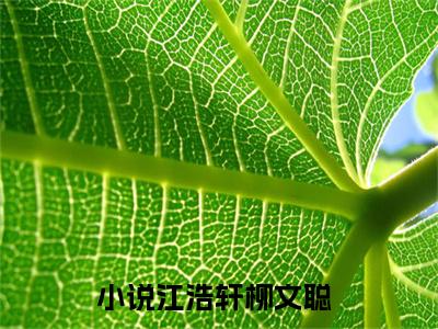 江浩轩柳文聪抖音完结版阅读《江浩轩柳文聪》最新章节目录好书推荐_(江浩轩柳文聪)