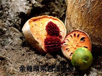 余菀晴梁君泽(余菀晴梁君泽)全文免费阅读无弹窗大结局_(余菀晴梁君泽免费阅读全文大结局)最新章节列表