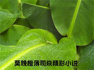 《热门小说莫晚橙薄司焱》最新章节by莫晚橙薄司焱完整版在线阅读