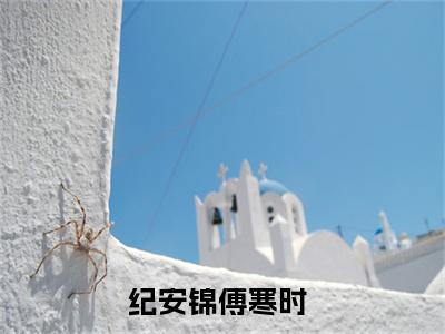 纪安锦傅寒时（纪安锦傅寒时)全文免费阅读无弹窗大结局_纪安锦傅寒时全文免费阅读_笔趣阁（纪安锦傅寒时）