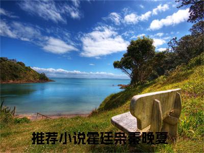 霍廷枭秦晚夏小说在线阅读-小说（霍廷枭秦晚夏）免费观看