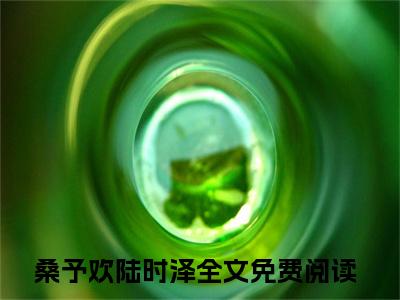 桑予欢陆时泽（桑予欢陆时泽）全文免费阅读_（桑予欢陆时泽）最新章节小说免费阅读（桑予欢陆时泽）