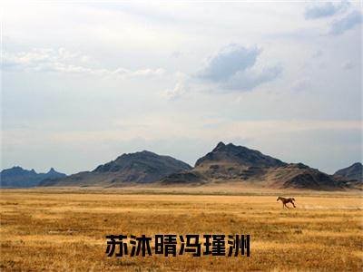 苏沐晴冯瑾洲小说免费阅读苏沐晴冯瑾洲小说全文免费阅读_（苏沐晴冯瑾洲）苏沐晴冯瑾洲最新章节列表笔趣阁