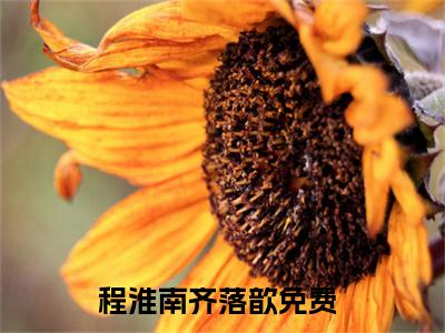 程淮南齐落歆小说免费阅读（程淮南齐落歆）全文免费阅读无弹窗大结局_程淮南齐落歆小说免费阅读最新章节列表_笔趣阁（程淮南齐落歆）