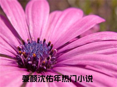 姜颜沈佑年（姜颜沈佑年）全文免费阅读无弹窗大结局_姜颜沈佑年在线阅读（姜颜沈佑年）