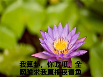 高赞小说我算卦，你吃瓜，全网跪求我直播夜青鱼（我算卦，你吃瓜，全网跪求我直播夜青鱼小说免费阅读）完结阅读_我算卦，你吃瓜，全网跪求我直播夜青鱼小说免费阅读免费看全文