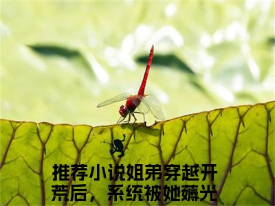 新上热文姐弟穿越开荒后，系统被她薅光了陈遥在线免费读-姐弟穿越开荒后，系统被她薅光了陈遥的小说（姐弟穿越开荒后，系统被她薅光了陈遥）完整版免费读全文