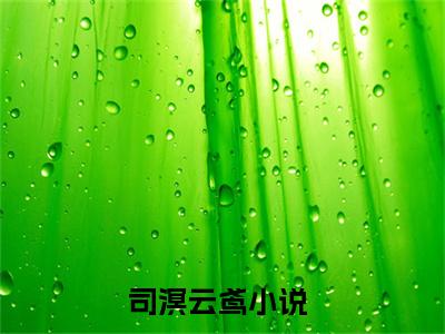 司溟云鸢最新章节免费阅读-司溟云鸢全文无弹窗试读