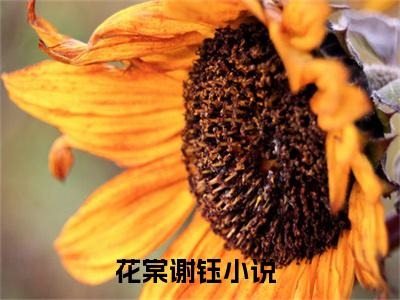 花棠谢钰全文+后续（花棠谢钰）全文免费阅读无弹窗大结局_（花棠谢钰免费阅读全文大结局）最新章节列表_笔趣阁（花棠谢钰）