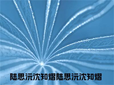 陆思沅沈知熠（陆思沅沈知熠）在哪免费看-小说（陆思沅沈知熠）全文完整版免费阅读陆思沅沈知熠