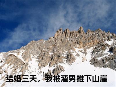 结婚三天，我被渣男推下山崖小说全文免费阅读无弹窗-林苒容熠川全章节阅读