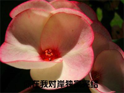 夏添季斯琰（你在我对岸）小说精彩免费内容_夏添季斯琰最新章节全文阅读（你在我对岸）