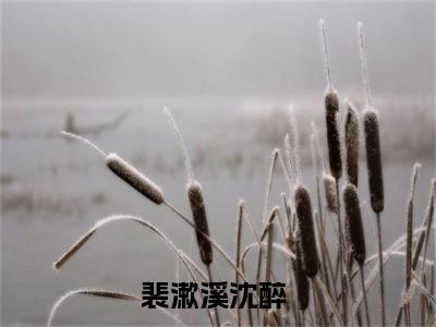 裴漱溪沈醉（裴漱溪沈醉）小说全文免费读无弹窗大结局_裴漱溪沈醉小说章节试读最新章节列表笔趣阁