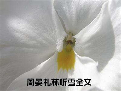 周晏礼林听雪（周晏礼林听雪）小说全文免费阅读无弹窗大结局_（周晏礼林听雪）小说全文免费阅读最新章节列表笔趣阁