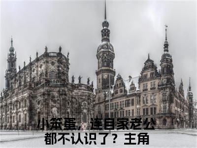 权赫宁心全文免费阅读（小笨蛋，连自家老公都不认识了？免费阅读无弹窗）权赫宁心最新章节列表_笔趣阁