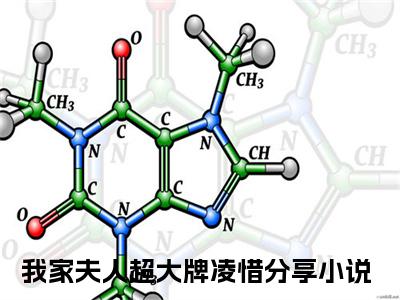 我家夫人超大牌凌惜抖音高赞小说 我家夫人超大牌凌惜全文无弹窗阅读