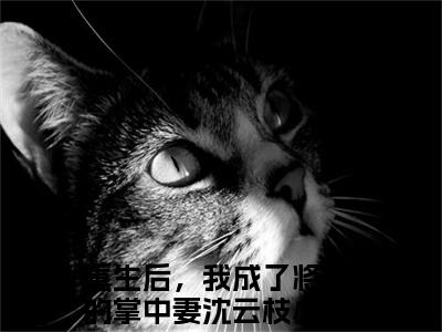 重生后，我成了将军的掌中妻沈云枝新上热文小说（重生后，我成了将军的掌中妻沈云枝）讲的是什么-重生后，我成了将军的掌中妻沈云枝全文完整版免费阅读