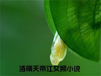 洛晴天帝江全集小说完整版大结局_洛晴天帝江完结版在线阅读