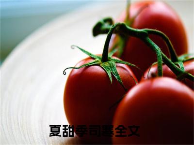 夏甜季司寒小说大结局精彩推荐，夏甜季司寒全文完整版在线阅读